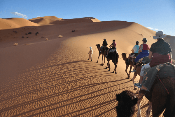 Camel Ride
